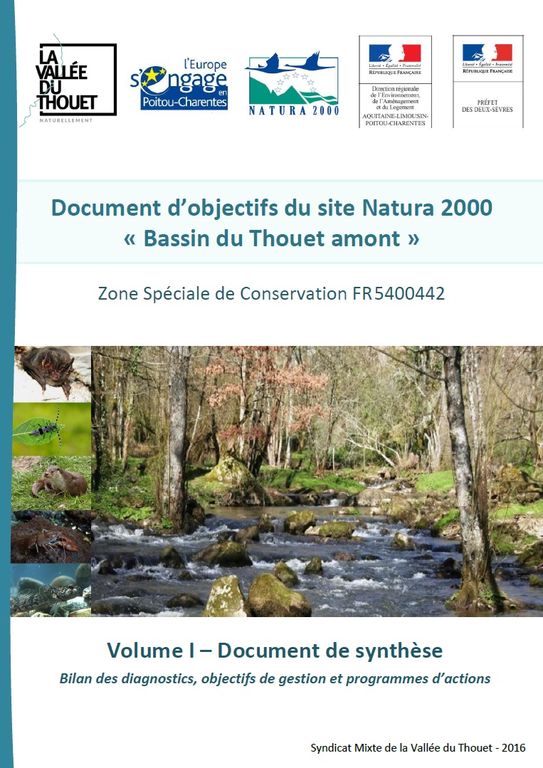 Couverture Volume de Synthèse